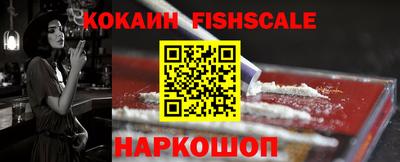 крисы Холмск