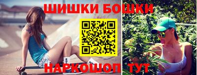 крисы Холмск