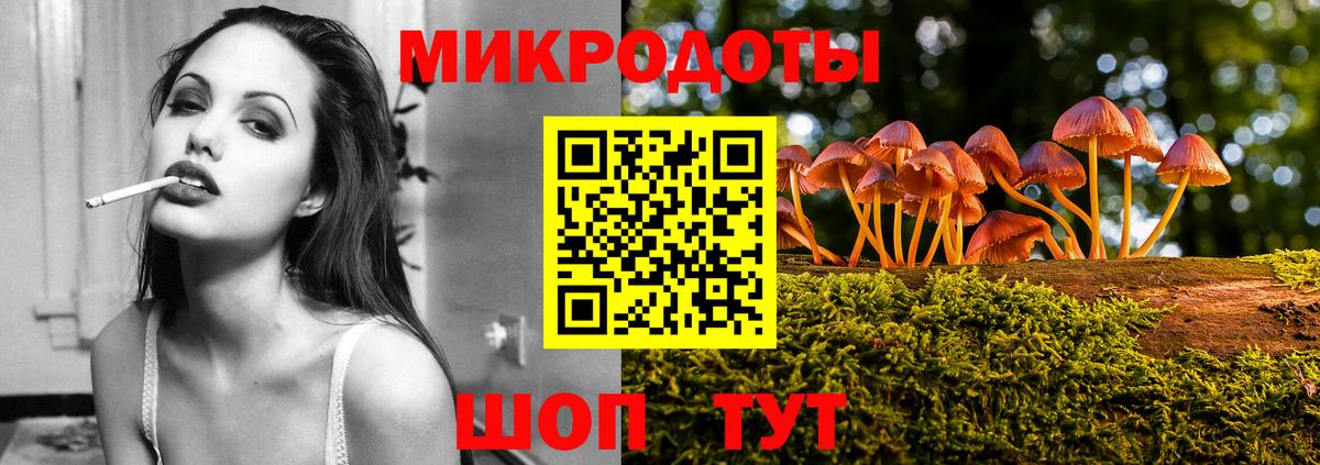 Псилоцибиновые грибы мицелий Борисоглебск